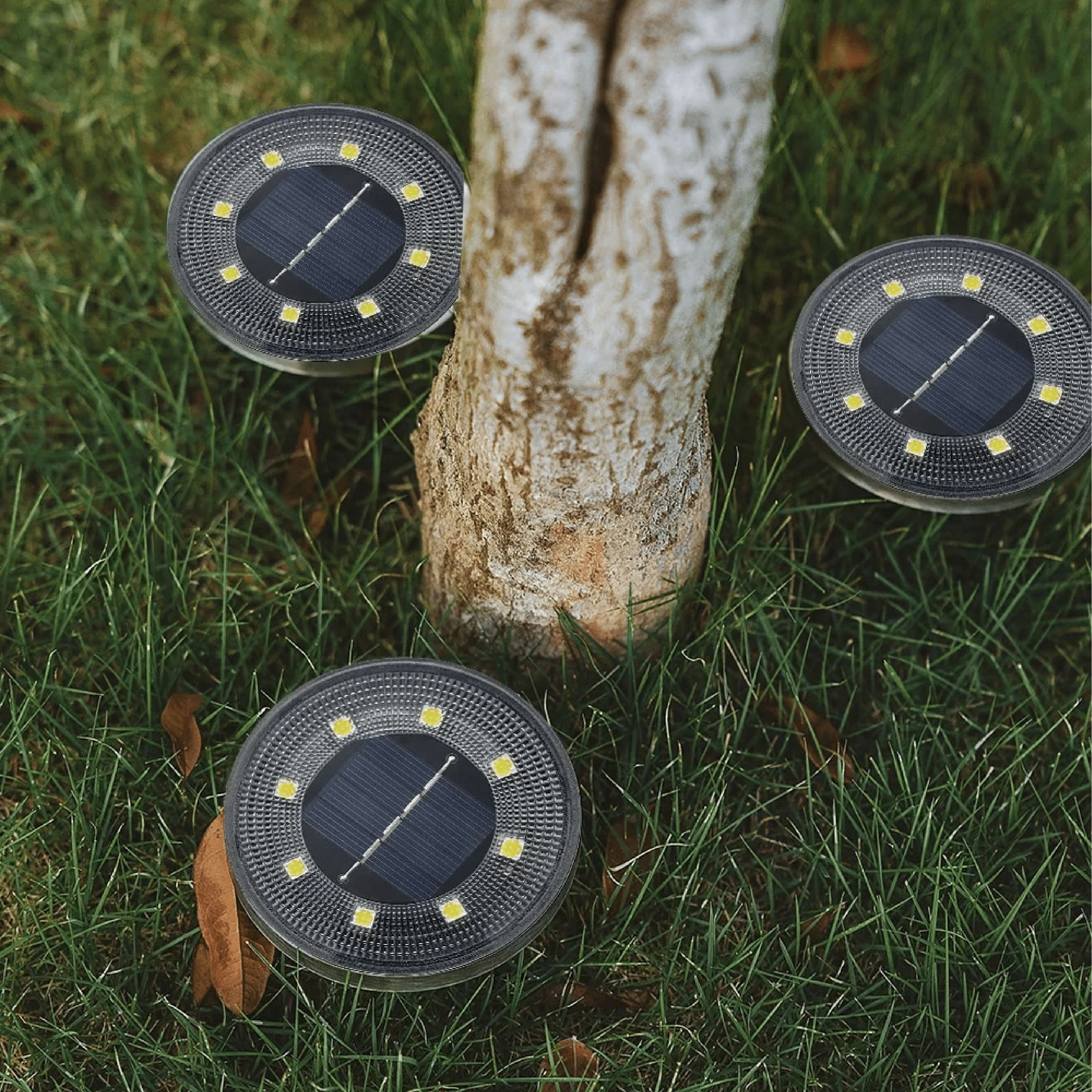 Daylux LED Solar-Tuinfakkels