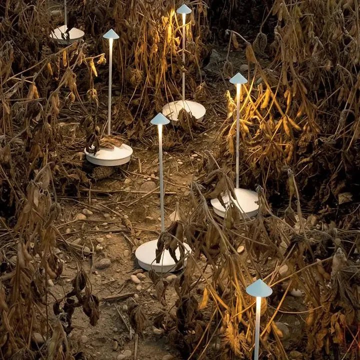 PointLight Pijlkop-tafellamp