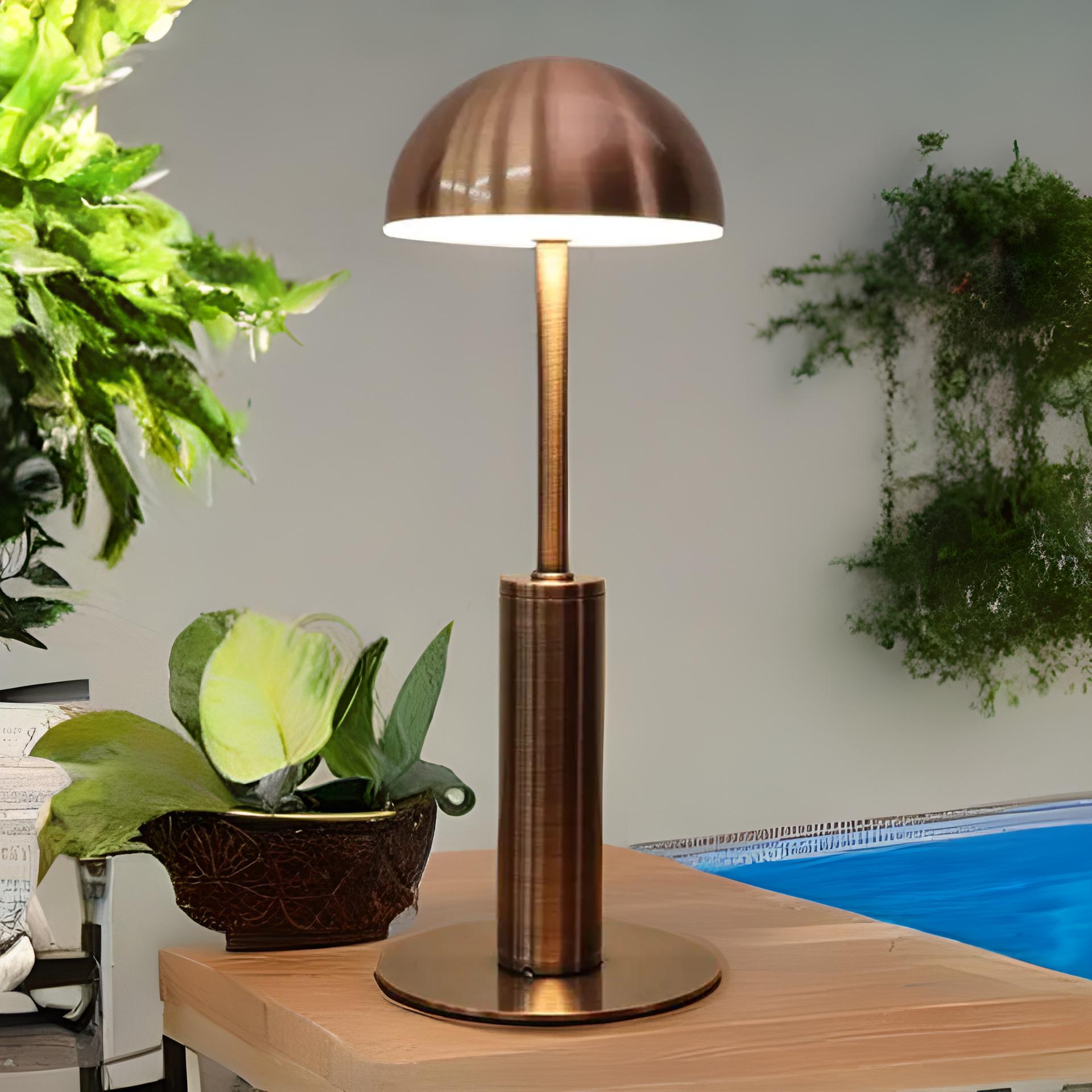 ElaraShine I Draadloze Dimbare Warmtelamp – Modern LED Ontwerp