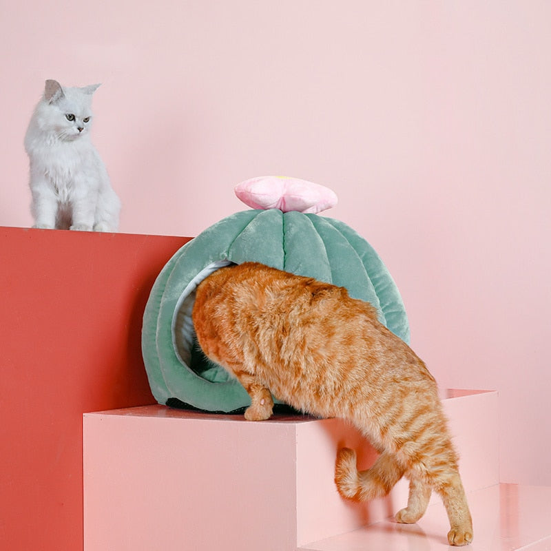 Cactus Kat Cave met Verwijderbaar Kattenbed Kussen