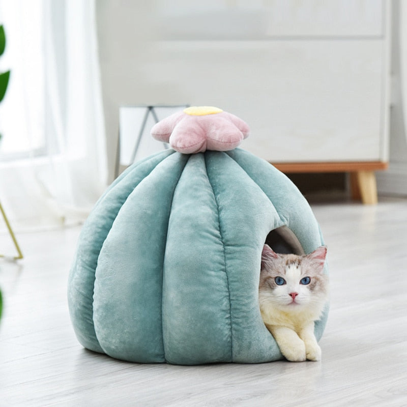 Cactus Kat Cave met Verwijderbaar Kattenbed Kussen
