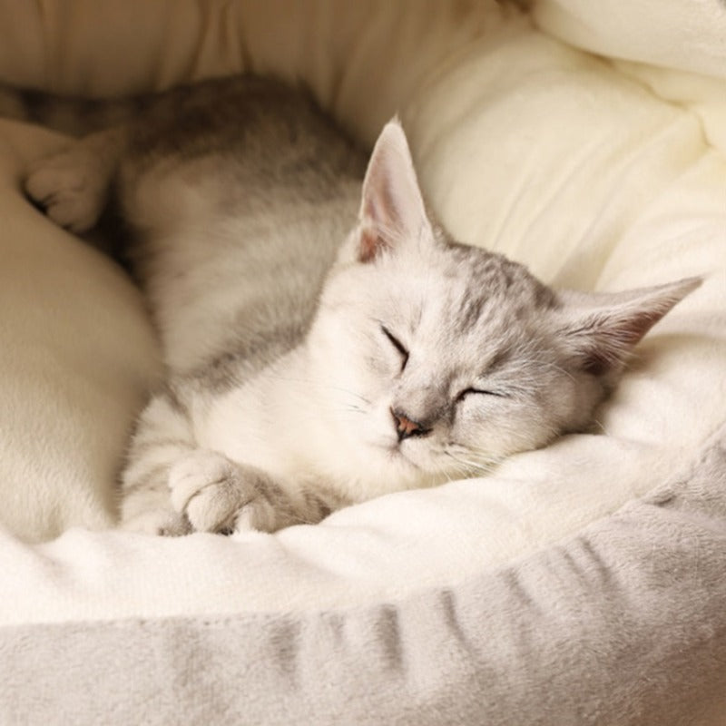 Gezellige Ronde Kalmerende Kattenhol Bed