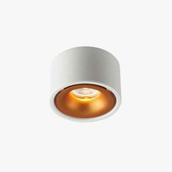 Moderne LED inbouwspot rond in metaal Lory